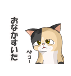 三毛猫のハナカ（個別スタンプ：12）