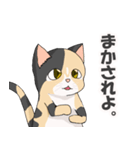 三毛猫のハナカ（個別スタンプ：13）