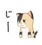 三毛猫のハナカ（個別スタンプ：15）