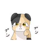 三毛猫のハナカ（個別スタンプ：17）