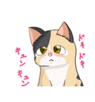 三毛猫のハナカ（個別スタンプ：19）
