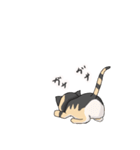 三毛猫のハナカ（個別スタンプ：20）