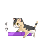 三毛猫のハナカ（個別スタンプ：23）