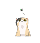 三毛猫のハナカ（個別スタンプ：24）