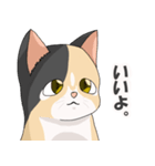 三毛猫のハナカ（個別スタンプ：25）