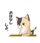 三毛猫のハナカ（個別スタンプ：26）
