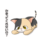 三毛猫のハナカ（個別スタンプ：27）