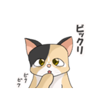 三毛猫のハナカ（個別スタンプ：28）