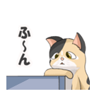 三毛猫のハナカ（個別スタンプ：29）