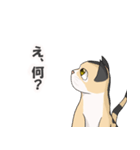 三毛猫のハナカ（個別スタンプ：31）