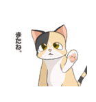 三毛猫のハナカ（個別スタンプ：32）