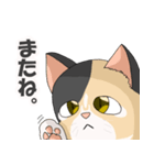 三毛猫のハナカ（個別スタンプ：33）