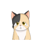 三毛猫のハナカ（個別スタンプ：34）