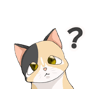 三毛猫のハナカ（個別スタンプ：37）