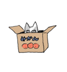 ねこナのいるせいかつ（個別スタンプ：11）
