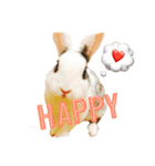 ミニウサギのLOVE（個別スタンプ：7）