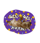 プリティーシェリー その1（個別スタンプ：2）