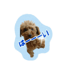 プリティーシェリー その1（個別スタンプ：3）