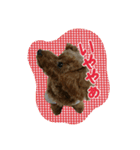 プリティーシェリー その1（個別スタンプ：4）