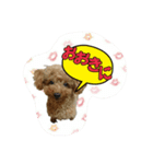 プリティーシェリー その1（個別スタンプ：5）