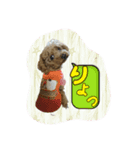 プリティーシェリー その1（個別スタンプ：6）