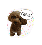 プリティーシェリー その1（個別スタンプ：7）