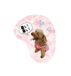 プリティーシェリー その1（個別スタンプ：8）