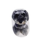 かわいい犬！！（個別スタンプ：3）