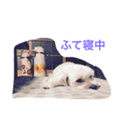 なんちゃら〜中（個別スタンプ：2）