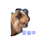 なんちゃら〜中（個別スタンプ：3）