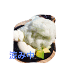 なんちゃら〜中（個別スタンプ：6）