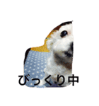 なんちゃら〜中（個別スタンプ：8）