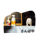 なんちゃら〜中（個別スタンプ：16）