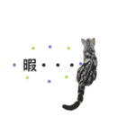 猫な生活2（個別スタンプ：6）