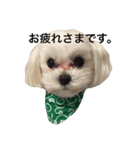 東京ワンク その1（個別スタンプ：1）