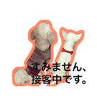 東京ワンク その1（個別スタンプ：4）