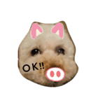我が家の龍くん日常（個別スタンプ：2）