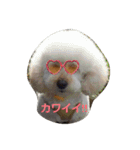 我が家の龍くん日常（個別スタンプ：3）