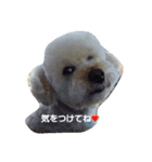 我が家の龍くん日常（個別スタンプ：10）