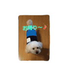 我が家の龍くん日常（個別スタンプ：13）
