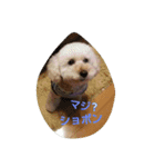我が家の龍くん日常（個別スタンプ：15）