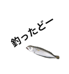 さあ、釣りに行こう。（個別スタンプ：1）