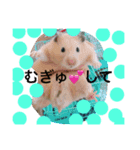 はむスターズ（個別スタンプ：2）