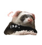フェレット ねる 2（個別スタンプ：4）