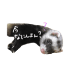 フェレット ねる 2（個別スタンプ：17）