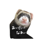 フェレット ねる 2（個別スタンプ：23）