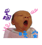 HOWHOW（個別スタンプ：2）