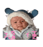 HOWHOW（個別スタンプ：37）