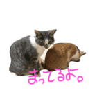 Riomoco2（個別スタンプ：6）