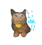 Riomoco2（個別スタンプ：7）